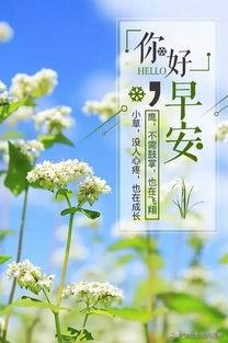 請問民間有清明期間互不道早安的習(xí)俗嗎？有什么來歷？
