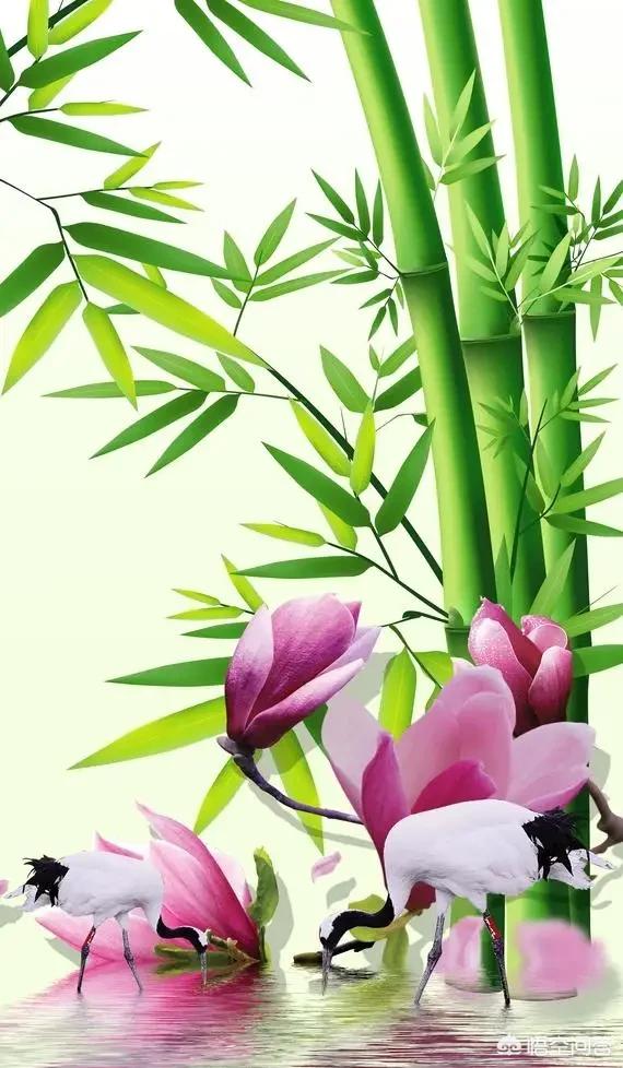 大年初一，都有什么風俗？